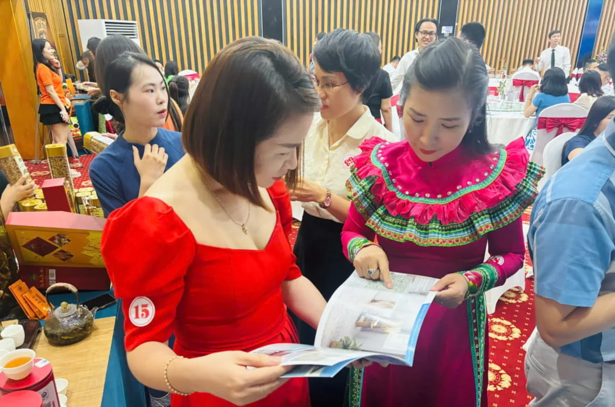 Đại biểu xem catalogue gạch, ngói NASAKI